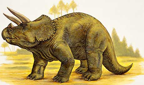 Najstarsze ślady dinozaurów