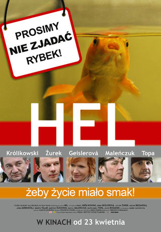 Tramwaje wodne z Trójmiasta na Hel